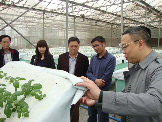 省农业厅粮油处领导视察我市农科所工作