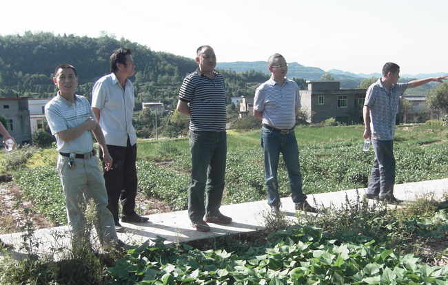 市农科所落实2013年科技成果转化基地