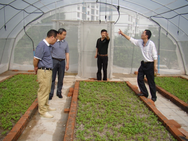 市农业局领导在市农科所科研基地调研