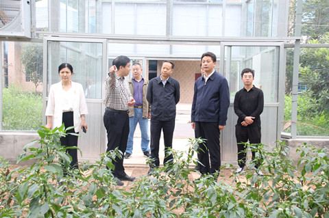 李副市长来院调研1_副本.jpg