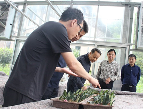 李副市长来院调研2_副本.jpg