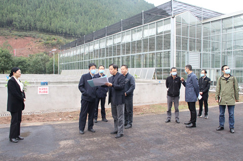 市委常委副市长罗怀熙在市农科院调研1_副本.jpg