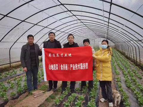 山地蔬菜产业技术服务团赴蔬菜生产基地开展技术指导_副本.jpg