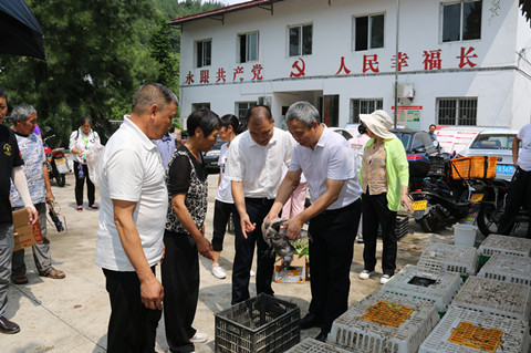 爱心帮扶赠鸡苗 助农增收显真情2_副本.jpg