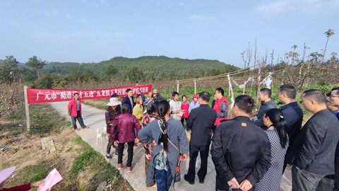 玉龙村1_副本.jpg