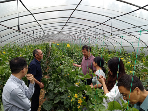 农业重大技术协同推广计划项目首席专家来广指导