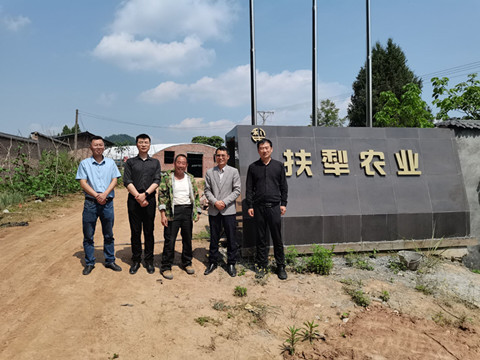 蜀道英才肉牛羊产业服务团赴旺苍开展技术指导