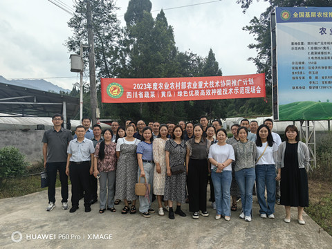 市农科院成功举办农业重大技术协同推广计划 黄瓜绿色优质高效生产技术培训会