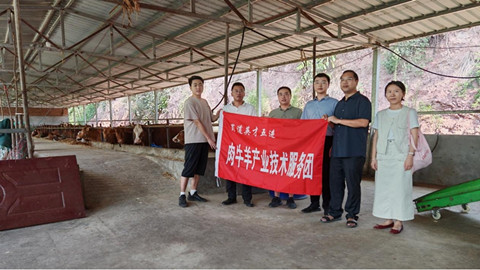 肉牛羊产业服务团技术指导2_副本.jpg