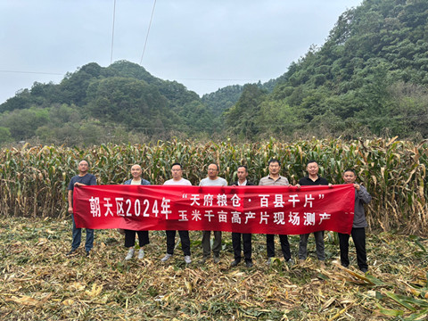 实收实测“把脉”山区玉米产量