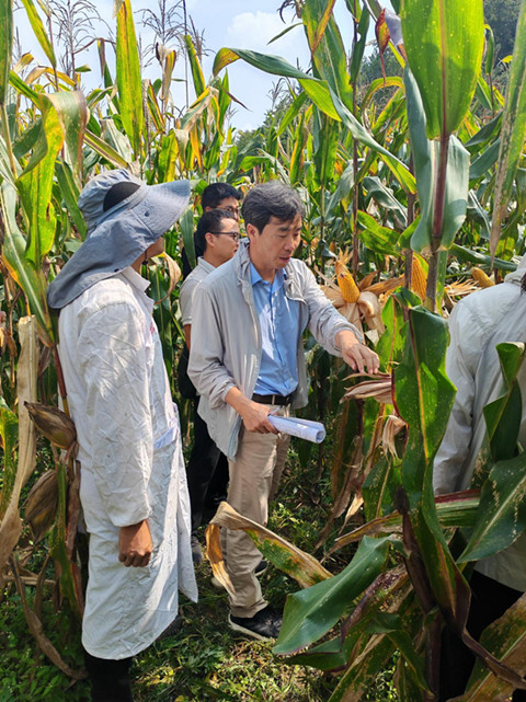 玉米创新团队岗位专家交流山区玉米品种选育