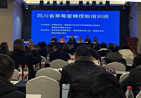 蜂草莓协同发展培训_副本_副本.jpg