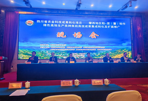 攀西特色蔬菜现场会_副本.jpg