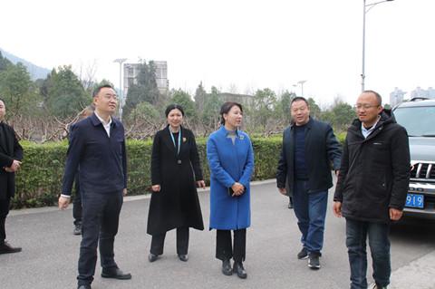 格日乐副市长来院调研1_副本.jpg