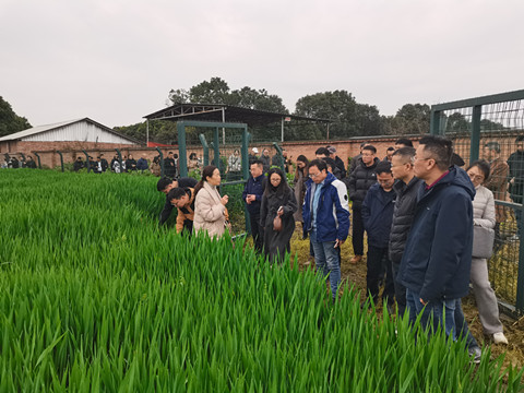 参加“畜牧业转型升级发展技术交流会”_副本.jpg