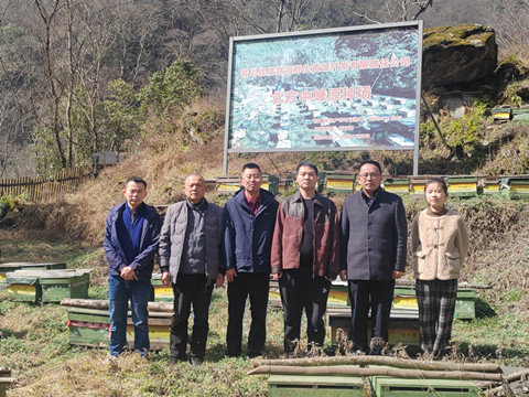 市农科院指导唐家河北方中蜂原种场蜜蜂管理工作2_副本.jpg
