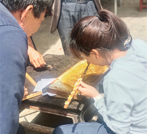 技术下乡助蜂农2_副本.jpg