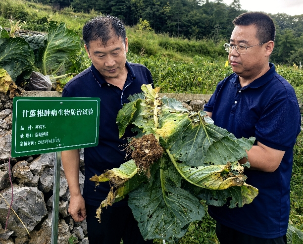 微信截图_20250912101839.png