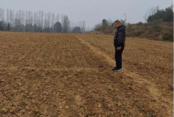 气候异常小麦出苗偏弱 市农科院抢施农技力保科研