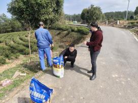 市茶产业服务团赴旺苍指导春茶采摘前准备工作