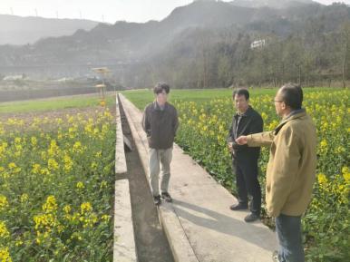 市农科院粮油所抢抓农时落实玉米试验用地