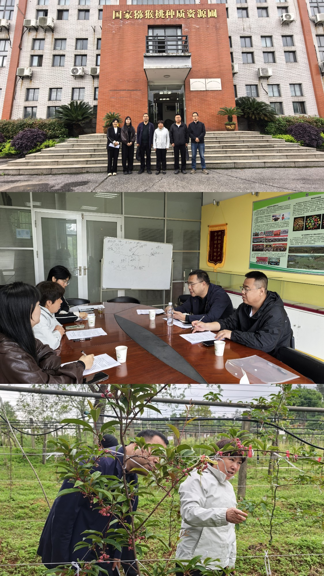 市农科院赴武汉植物园对接全国猕猴桃大会筹备工作并开展技术合作