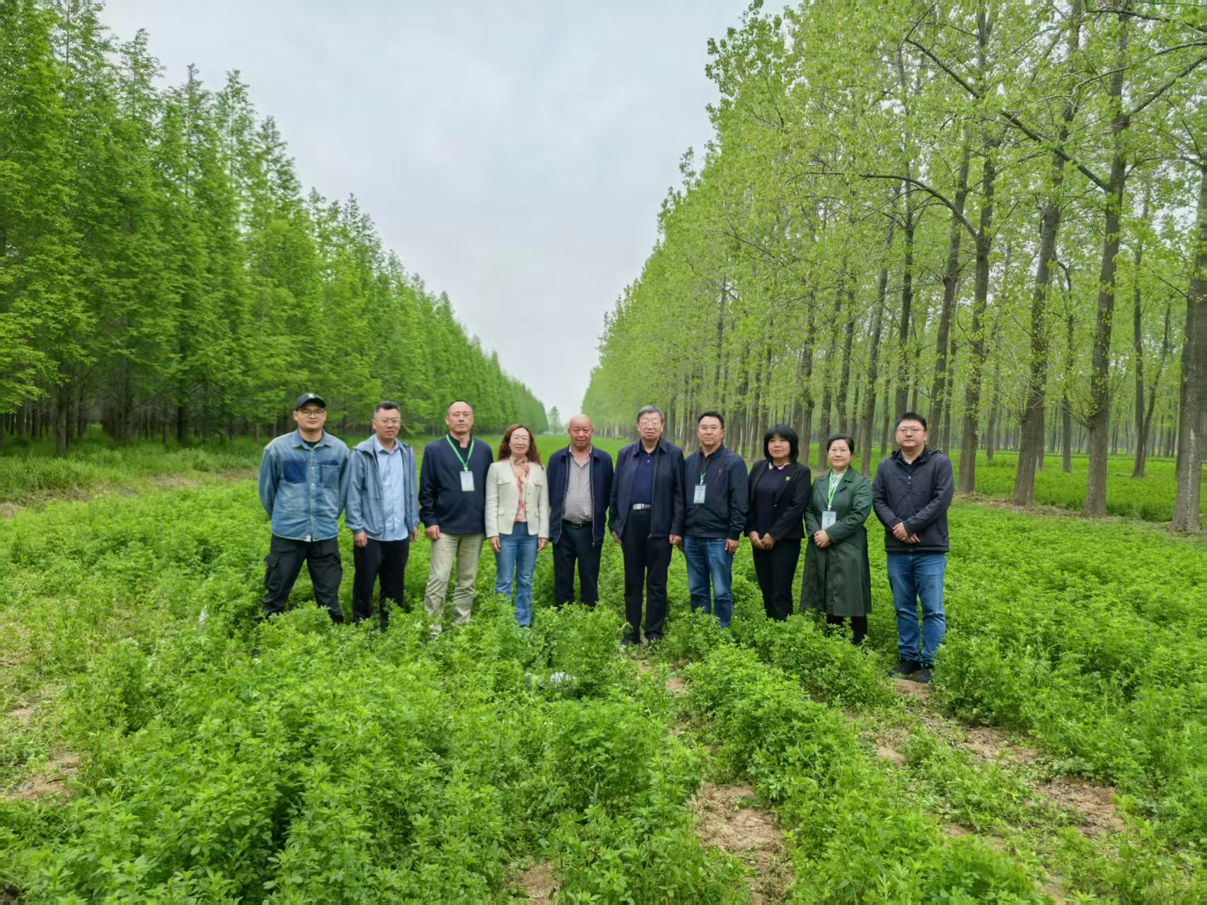 广元市农业科学研究院赴江苏省参加南方草业高质量发展研讨暨观摩会