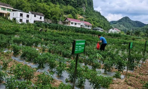 微信图片_20260713102713_100_189_副本.jpg